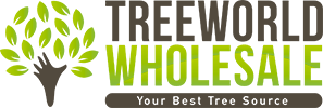 Treeworld Wholesale - Your Best Tree Source