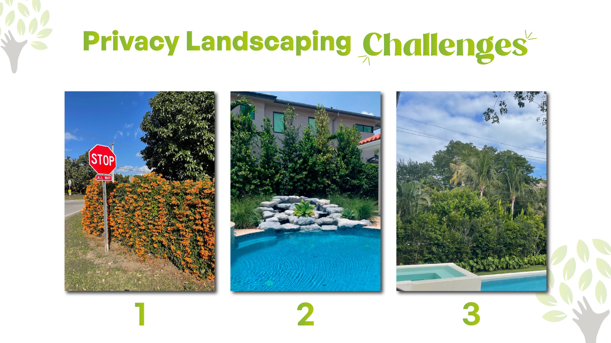 landscape ideas for privacy and its challenges