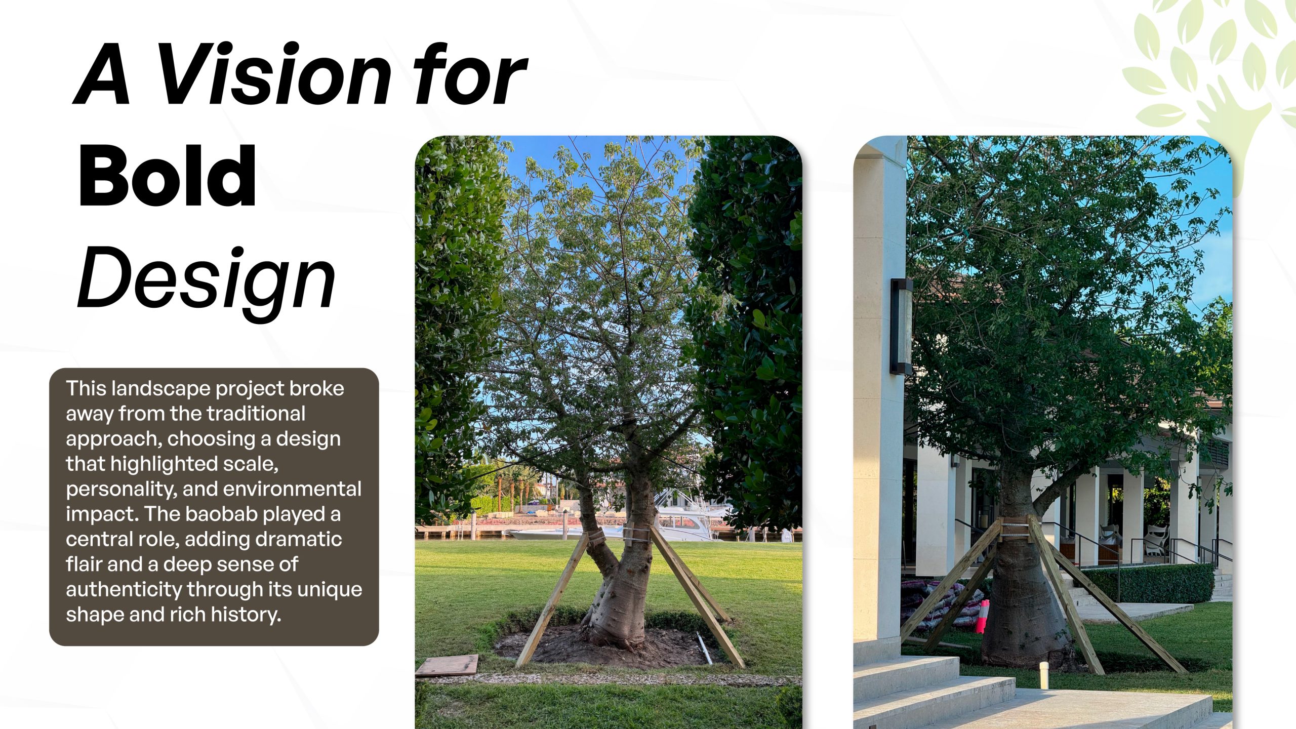 bold landscape architecture projects with massive trees