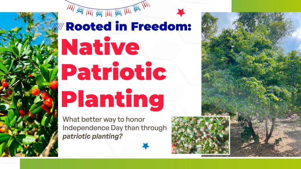 native patriotic plating landscape design ideas for a 4th of july inspired landscape