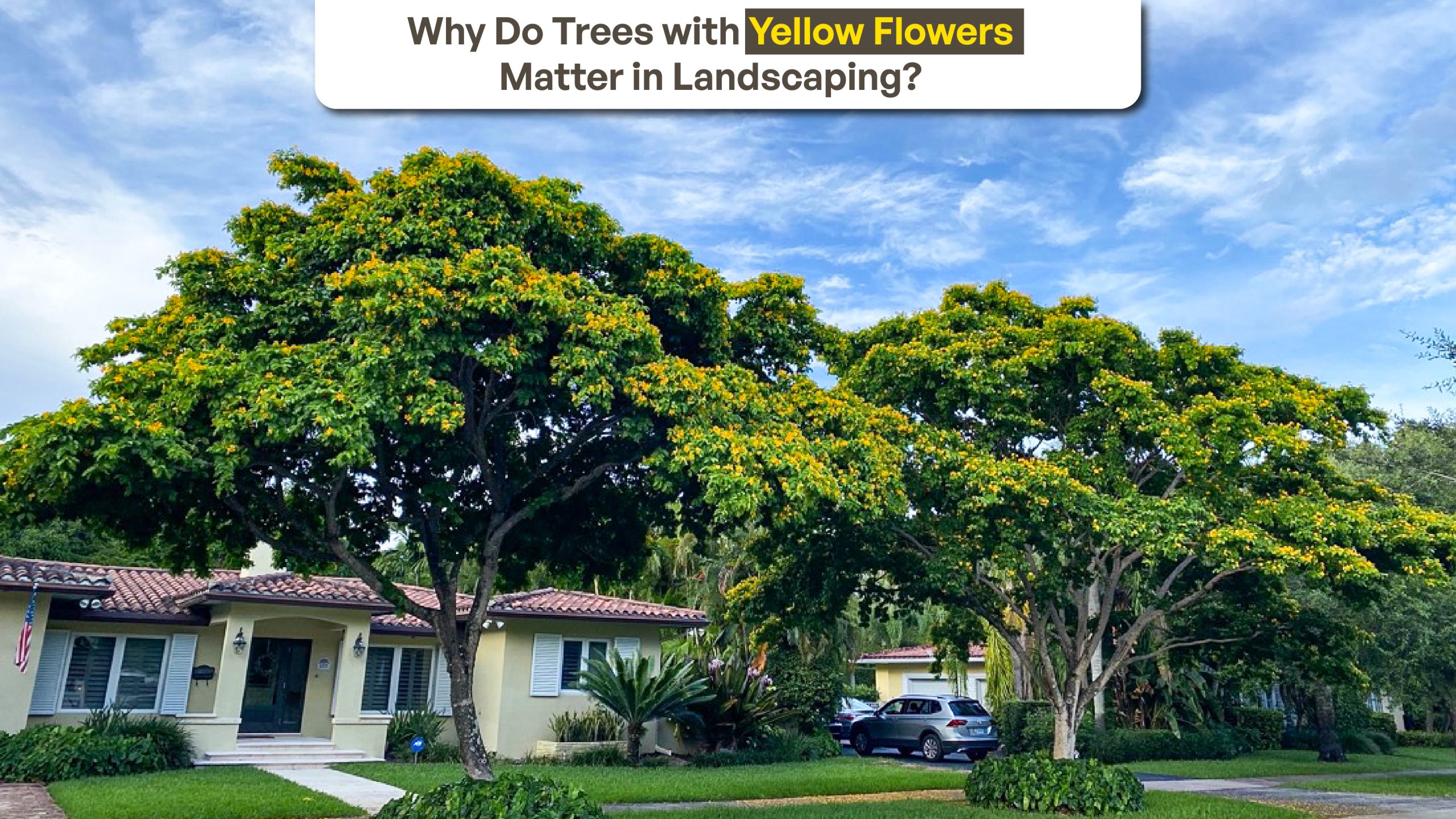 Why Do Trees with Yellow Flowers Matter in Landscaping?