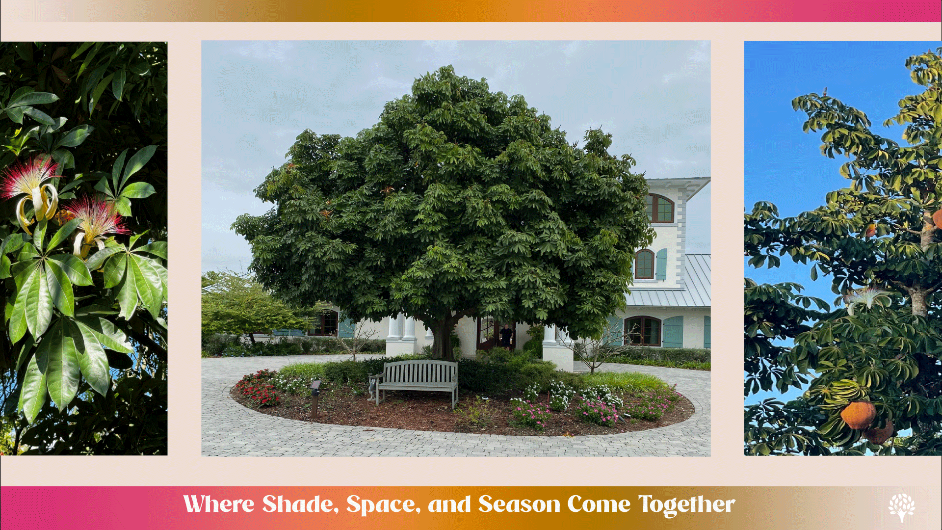 Why the Prosperity Tree Belongs in the Landscape