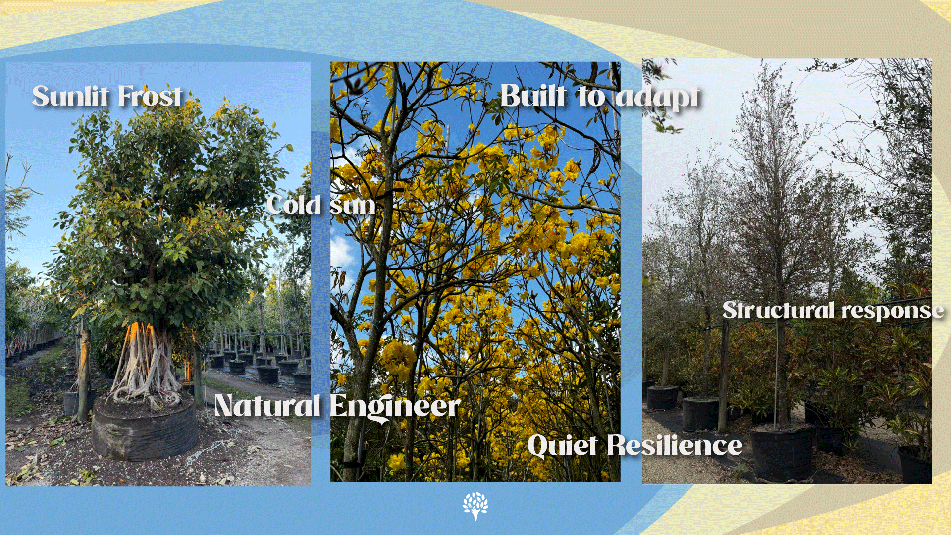 florida cold front humidity