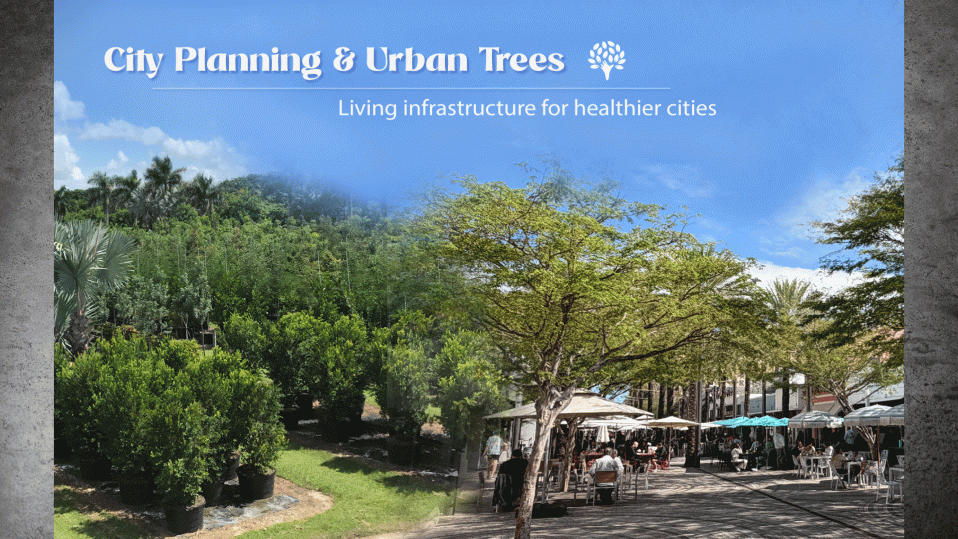 City Planning and Urban Trees
