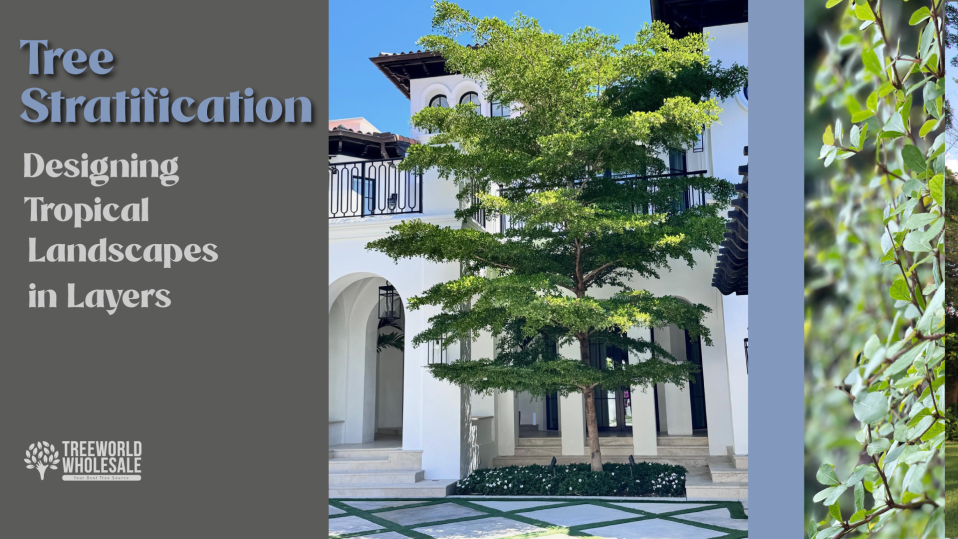 Tree Stratification: Designing Tropical Landscapes in Layers