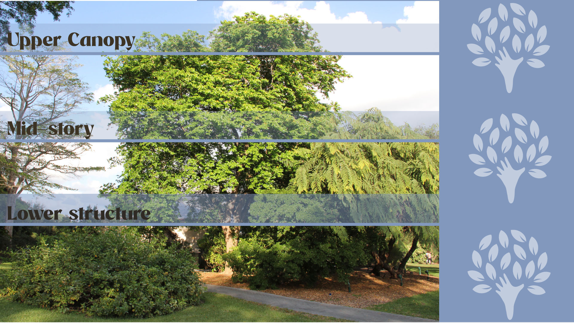 Landscape design in layers