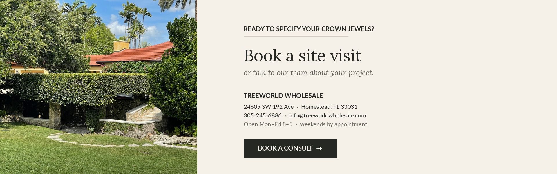 lets talk about your next project book your visit at treeworld wholesale